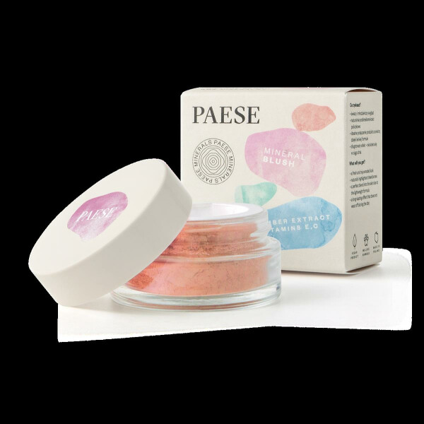 PAESE Mineral Blush 301N Dusty Rose 7g